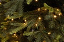 Albero Berkshire H180-3744Rami 1300Led