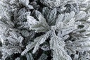 Albero Bernina Innevato H210-3144Rami