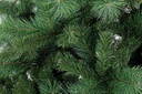 Albero Cermis H210-846Rami