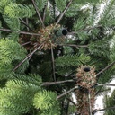 Albero Monte Amiata slim verde cmø35h210 con 752 rami