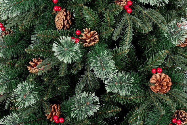 Albero Molveno C-Bacche H180-1620Rami