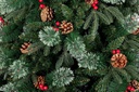 Albero Molveno C-Bacche H270-3964Rami