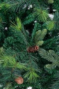 Albero Stelvio H225-1570Rami