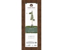 Albero di Natale Alpine Fir H 210 x ø 50 cm