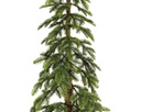 Albero di Natale Alpino cm 240