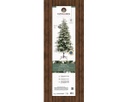 Albero di Natale Sunndal fir frosted H 210 x ø 120 cm