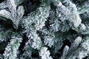 1x Albero Slim Praga Innevato H240
