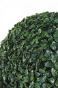 2x Bosso Sintetico Verde D38