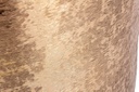 P.Vaso Varanasi Stand To Oro H42