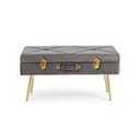 Panca in velluto con contenitore Grigio POLINA 80x34x h42 cm