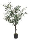 Pianta di ulivo con vaso nero 120h cm