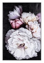 Quadro Dipinto olio cm 122.5x82.5