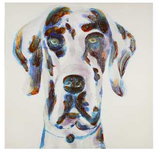 Quadro cane wd-0325a