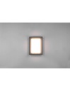 Applique Esterno Led Dip Switch Witham Antracite IP54 Trio Lighting