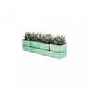 SIERRA 48 OLIVE
