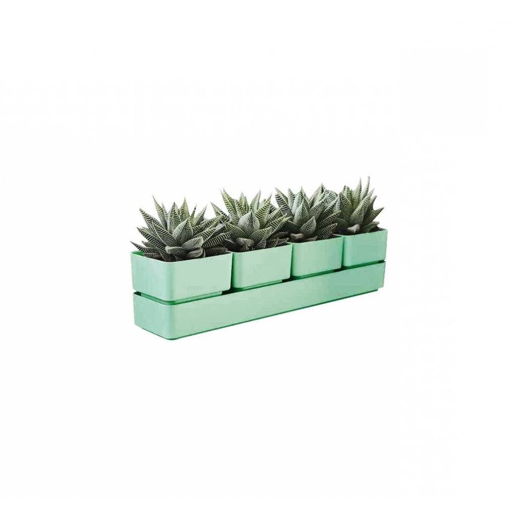 SIERRA 48 OLIVE