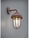 Applique Lanterna IP44 Duero Ruggine e Paralume Vetro Trio Lighting