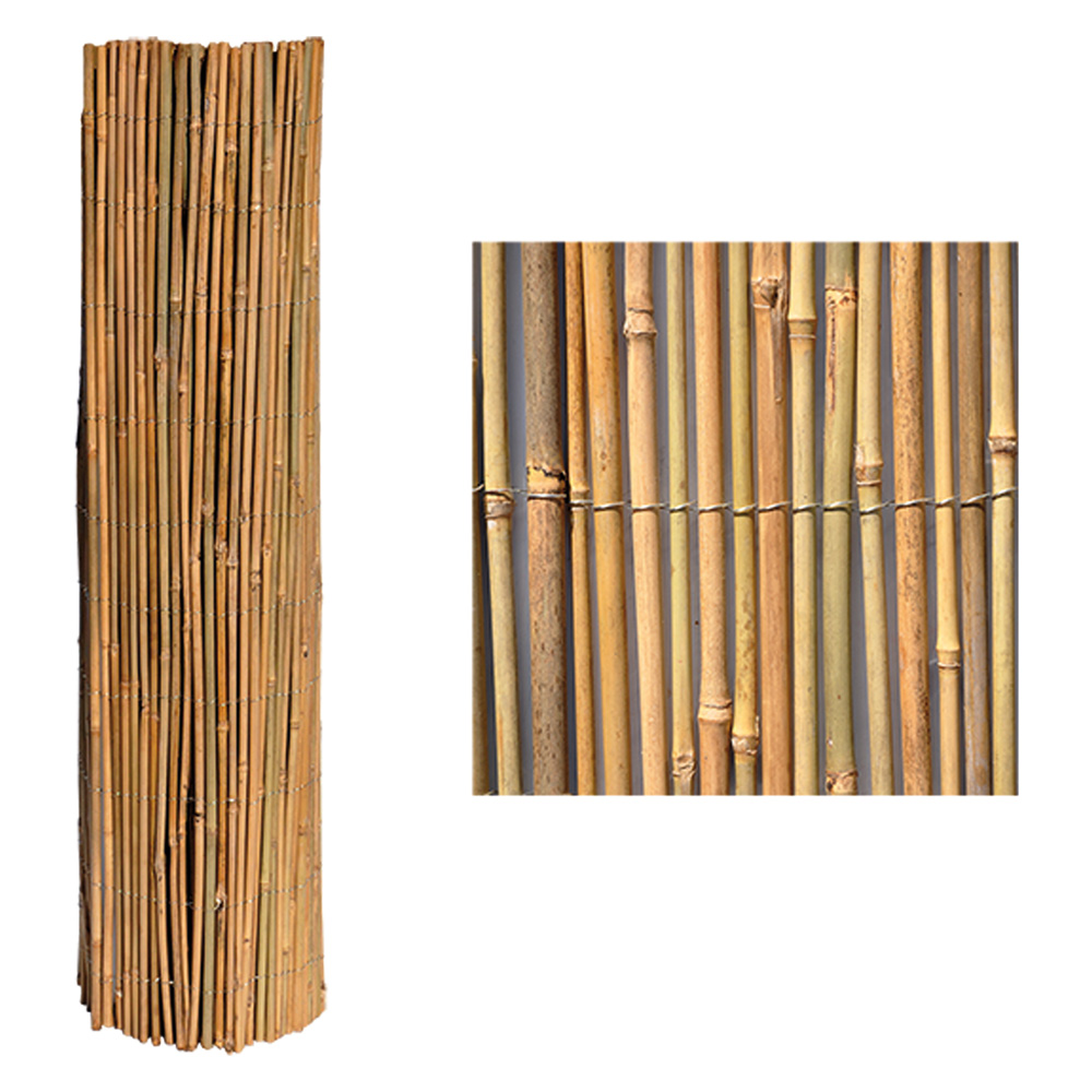 Arella Filo Esterno 'Mister' Cm 250 X 300