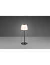 Lumetto Domingo Led Touch Antracite IP44 Trio Lighting
