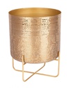 P.Vaso Varanasi Stand To Oro H42