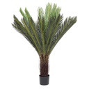 Pianta con vaso Palma Cycas 28 foglie 120h cm