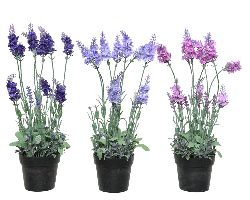 Pianta in plastica Lavanda con vaso 18x18x38h cm