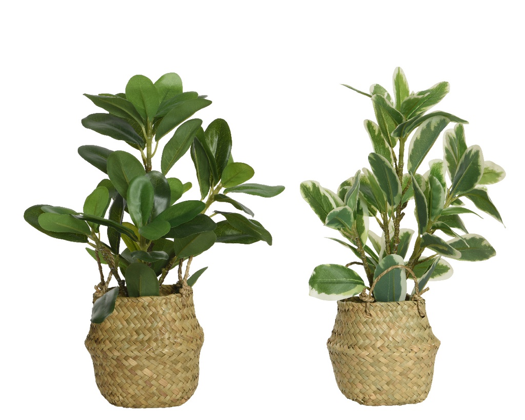 Pianta in plastica con vaso 25x25x35h cm