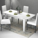 (2c) Tavolo allungabile Bianco Larice MEGARON 120-160X80 cm(MEGARONBI)
