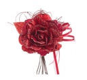 12x Pick Rosa Holly Rosso