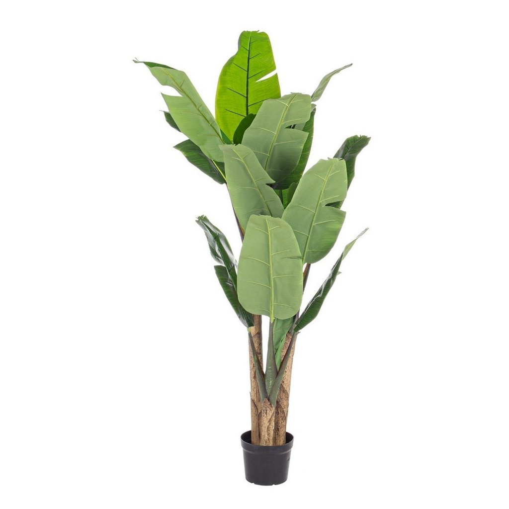 2x Pianta Banano decorazione casa con vaso 16 foglie 170h cm