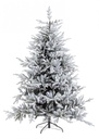 Albero Bernina Innevato H210-3144Rami