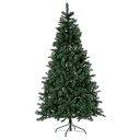 Albero Norimberga H270-1998 rami
