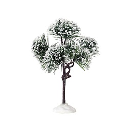 [19624223] MOUNTAINE PINE MEDIUM