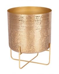 [B0182956] P.Vaso Varanasi Stand To Oro H42