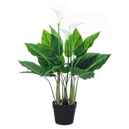 [B0172496] Pianta Calla da arredo con vaso 68h cm