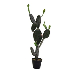 [V3628570000] Pianta cactus c/vaso nero cm 60x45h119