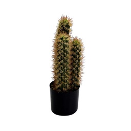 [V3628800000] Pianta cactus con vaso tondo cmø13h42