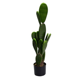 [V3628770000] Pianta cactus con vaso tondo cmø14h84