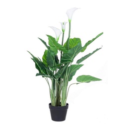 [B0172497] Pianta calla con vaso 27 foglie h100