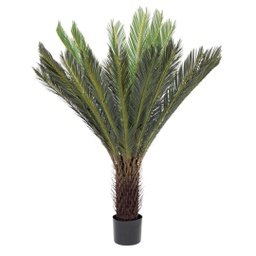 [B0172619] Pianta con vaso Palma Cycas 28 foglie 120h cm