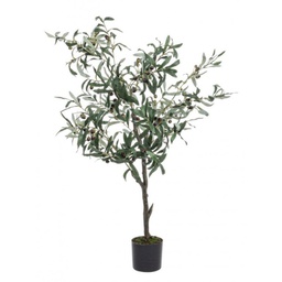 [B0172613] Pianta di ulivo con vaso nero 120h cm