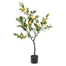 [B0172616] Pianta limone con vaso 198 foglie altezza cm 120