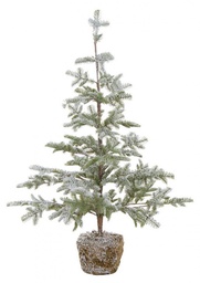 [B0934560] Pino Peralba Innevato H113