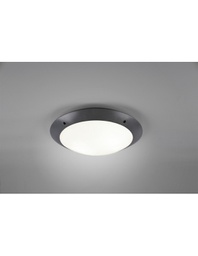 [TRIOR60502042] Plafoniera Da Esterno Camaro Antracite IP54 Ø33 cm Trio Lighting