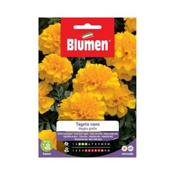 [027302] Semi Tagete Nano Doppio Giallo Blumen
