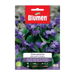 [027301] Semi Viola Mammola Quattro Stagioni Blumen
