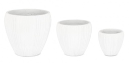 [B0790679] Set3 P.Vaso Halong To Bianco