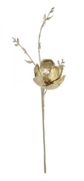 [B0915679] 12x Pick Nature Magnolia Foglie Champagne