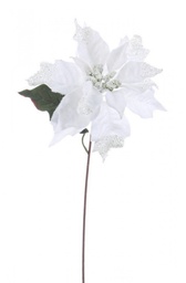 [B0929738] 12x Pick Poinsettia Glaciers Bianco H40Cm