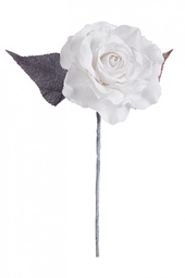 [B0971420] 12x Pick Rosa Coline Bianco